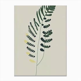 Southern Maidenhair Fern Wildflower Simplicity Canvas Print