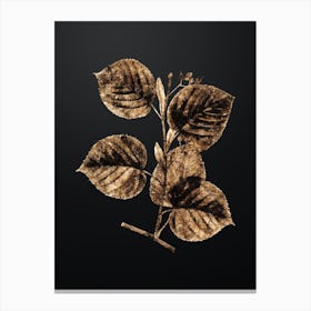 Gold Botanical Linden Tree Branch on Wrought Iron Black n.0691 Canvas Print