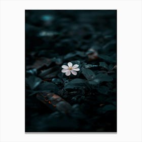 Flower In The Dark 18 Canvas Print