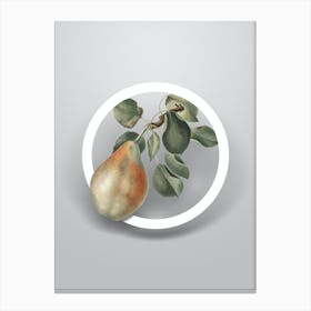 Vintage Pear Branch Minimalist Floral Geometric Circle on Soft Gray Canvas Print