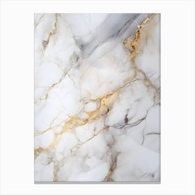 White Marble 1 Canvas Print