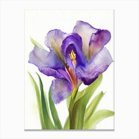 Iris Wildflower Watercolour 1 Canvas Print