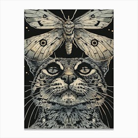 Cat With Moth Canvas Print