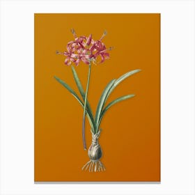 Vintage Guernsey Lily Botanical on Sunset Orange n.0700 Canvas Print