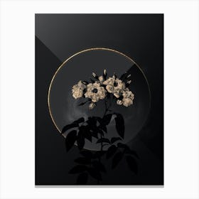 Shadowy Vintage Musk Rose Botanical on Black with Gold n.0159 Canvas Print