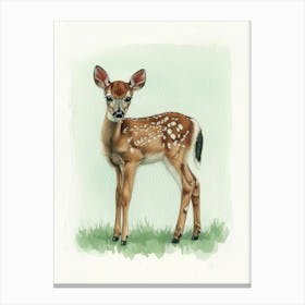 Fawn Illustration Canvas Print