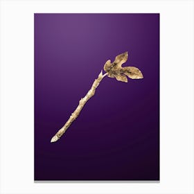 Gold Botanical Fig on Royal Purple n.4329 Canvas Print