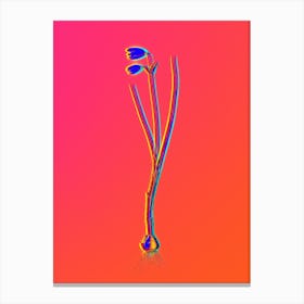 Neon Snowbell Botanical in Hot Pink and Electric Blue n.0228 Canvas Print