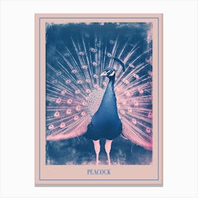 Pink & Blue Peacock Feathers Poster Canvas Print