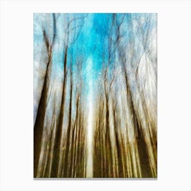 Falling Snow In Woodlands Canvas Print