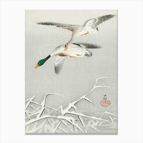 Two Wild Ducks In Flight (1900 1936), Ohara Koson Canvas Print