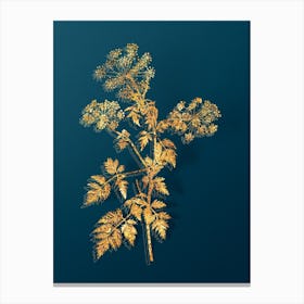 Vintage Hemlock Flowers Botanical in Gold on Teal Blue n.0244 Canvas Print