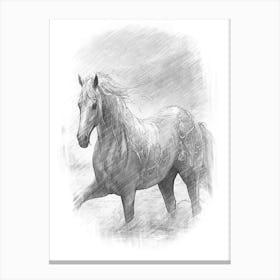 Horse In The Rain Canvas Print