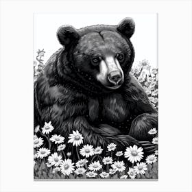 Malayan Sun Bear Resting In A Field Of Daisies Ink Illustration 3 Canvas Print