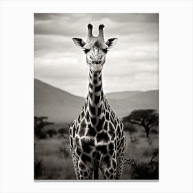 Black And White Photograph Of Giraffe 1 Canvas Print