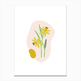 Daffodil Flower Canvas Print