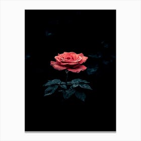 Dark Rose 152 Canvas Print