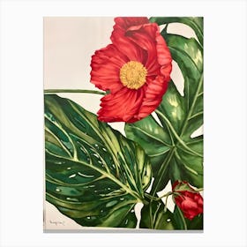 Red Poppy 6 Canvas Print