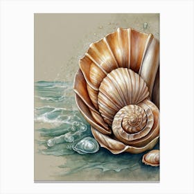 Sea Shell Canvas Print Canvas Print