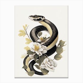Many Banded Krait Snake Gold And Black Canvas Print