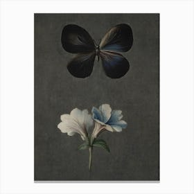 Butterfly And Flower Canvas Print