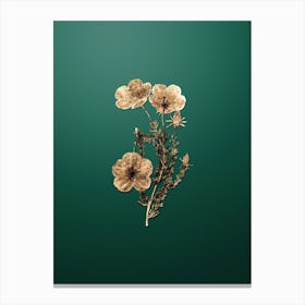 Gold Botanical Long Stalked Ledocarpum on Dark Spring Green n.2428 Canvas Print