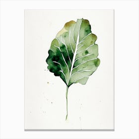 Turnip Leaf Minimalist Watercolour 1 Canvas Print