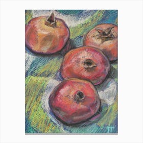 Pomegranate Canvas Print