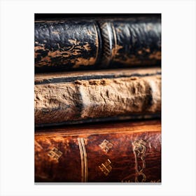 Old Books 6 Canvas Print