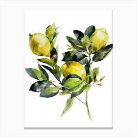 Watercolor Lemons 2 Canvas Print