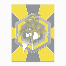 Vintage Commelina Zanonia Botanical Geometric Art in Yellow and Gray n.283 Canvas Print