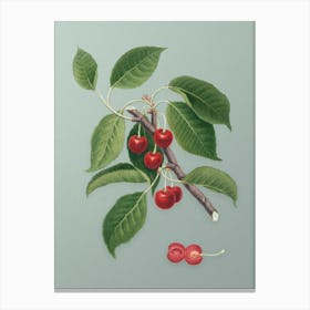 Vintage Sour Cherry Botanical Art on Mint Green n.0817 Canvas Print