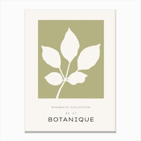 Botanique Canvas Print