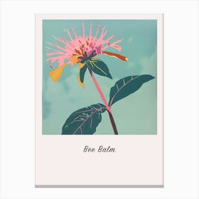 Bee Balm 1 Square Flower Illustration Poster Canvas Print