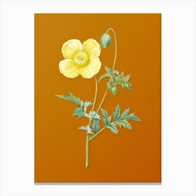 Vintage Welsh Poppy Botanical on Sunset Orange Canvas Print