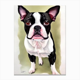 Boston Terrier 4 Watercolour dog Canvas Print