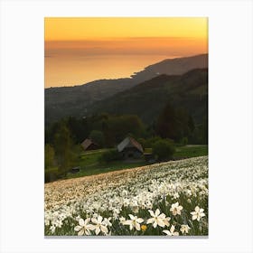 Sunset In The Meadow 1 Canvas Print