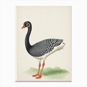 Goose Illustration Bird Canvas Print