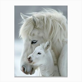 White Horse And Foal Canvas Print