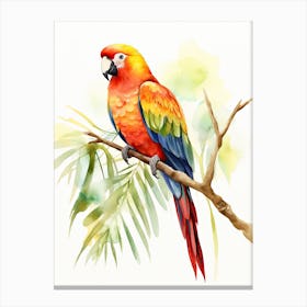 A Parrot Watercolour In Autumn Colours 1 Canvas Print