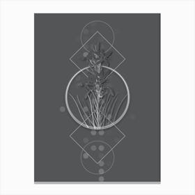 Vintage Yellow Asphodel Botanical with Line Motif and Dot Pattern in Ghost Gray n.0230 Canvas Print