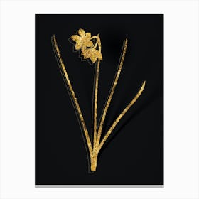 Vintage Narcissus Odorus Botanical in Gold on Black n.0011 Canvas Print
