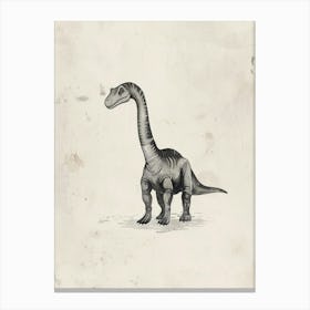 Brontosaurus Dinosaur Black Ink Illustration 3 Canvas Print