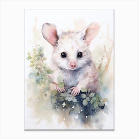 Light Watercolor Painting Of A Eucalyptus Loving Possum 2 Canvas Print