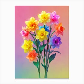 Rainbow Daffodils Canvas Print