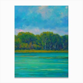 Everglades National Park United States Of America Blue Oil Painting 1  Canvas Print