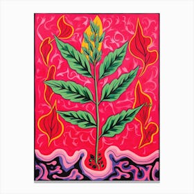 Pink And Red Plant Illustration Croton Codiaeum 1 Canvas Print