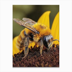 Leafcutter Bee Realism Illustration 7 Canvas Print