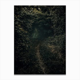 A Вark Path In A Green Forest With An Old Man. Canvas Print