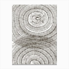 Tree Age Canvas Print